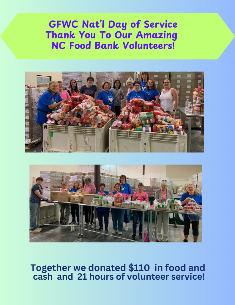 Food Bank summary flyer