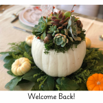 Decorative white pumpkin