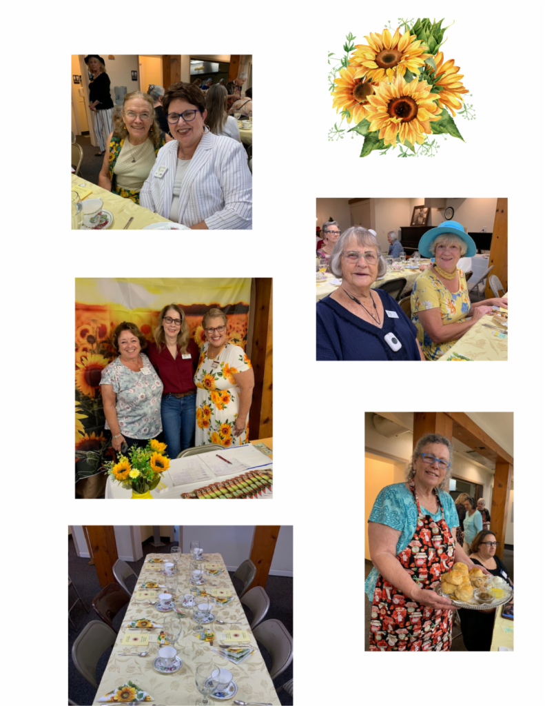 Photo collage of Sunflower Tea