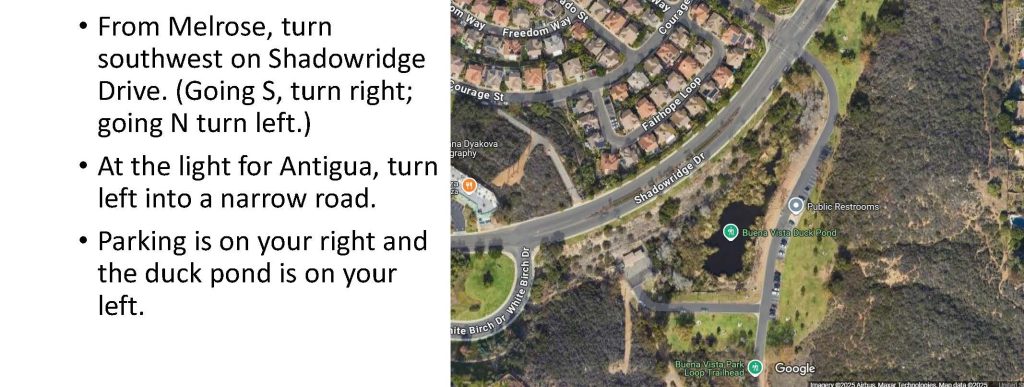 Map of Buena Vista Park and Duck Pond