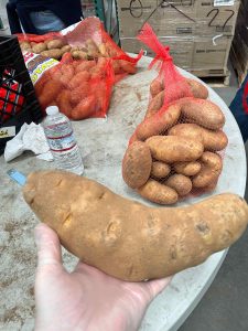 An L-shaped potato.  I would eat that!