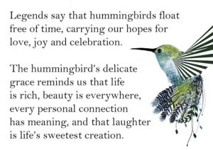 Hummingbird legend