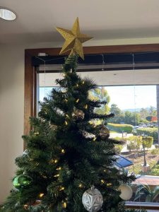 Pics from December 2025 WCV day meeting