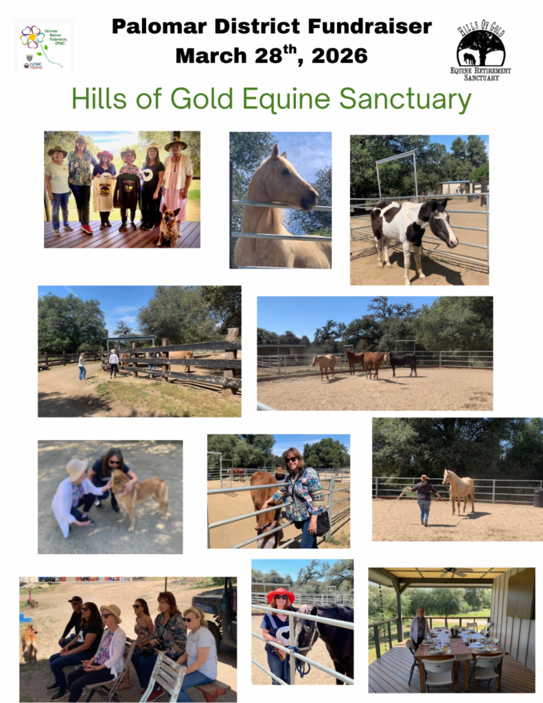 Pics from District fundraiser