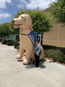 Canine Companions graduation event