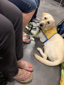 Canine Companions graduation event