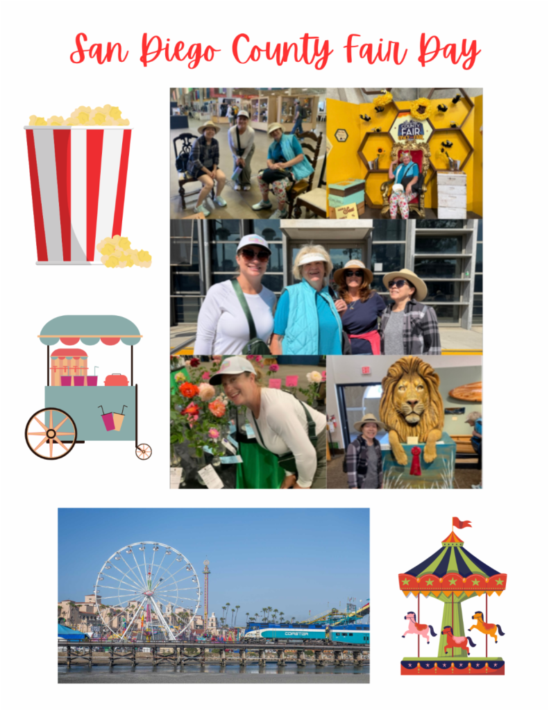 SD County Fair Day